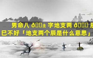 男命八 🐱 字地支两 🐒 辰巳不好「地支两个辰是什么意思」
